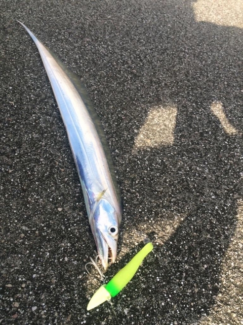 タチウオのおすすめタックルをチェック